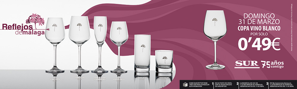 Diario SUR. Promociones
